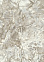 Обои  флиз ED Euro Decor Lucerna (серо-коричн.) 7318-12 *6
