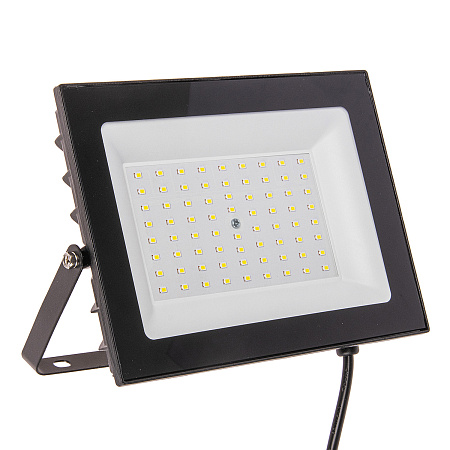 Прожектор светодиодный 100Вт 6,5К IP65 Smarbuy-100W-6500K-IP65 LIGHT  *1/10/20