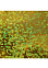 Пленка самоклеящаяся 45см*8м    голография 031B золото D&B  (Китай)   *1/20
