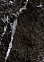 Керамогранит simbel-carbon черный мрамор GRS05-03 600*600*10 (0,36*4=1,44*32) GRESSE *1,44 /46,08