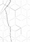 Декор Siluet белый 500*250 GT124VG Global Tile *1/7